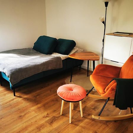 Apartament Chełmsko Śląskie エクステリア 写真