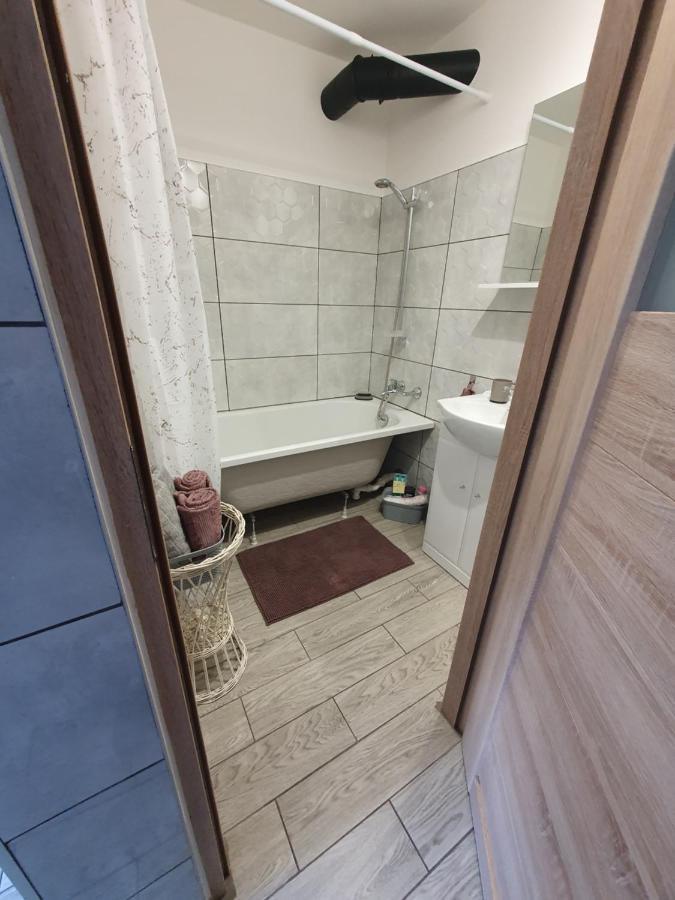 Apartament Chełmsko Śląskie エクステリア 写真