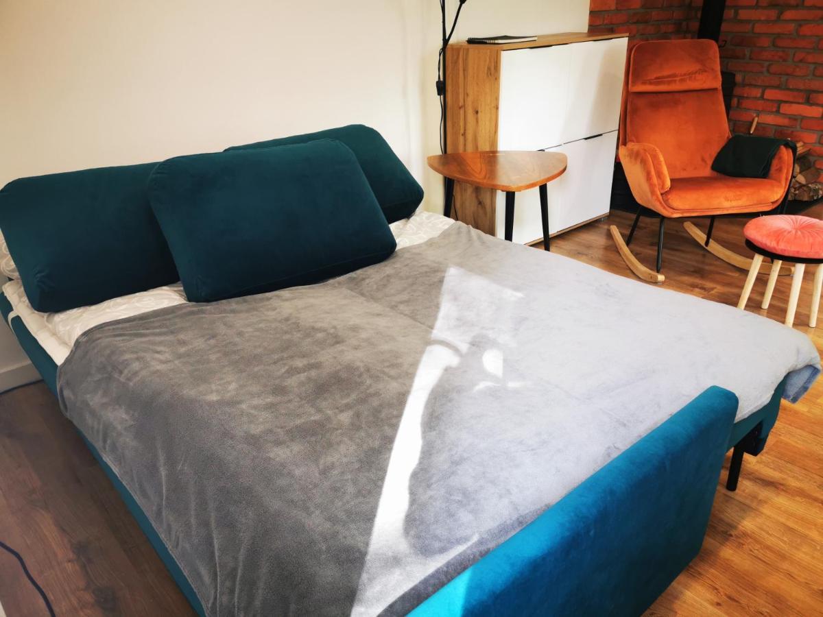 Apartament Chełmsko Śląskie エクステリア 写真